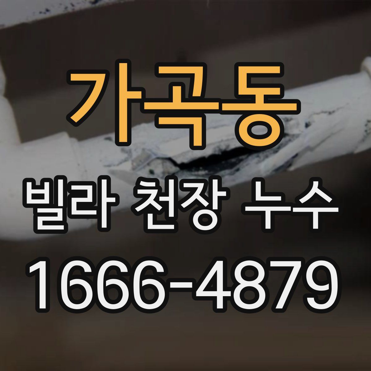 가곡동 빌라 천장 누수