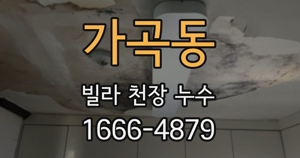 가곡동 빌라 천장 누수