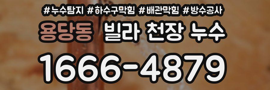 용당동 빌라 천장 누수