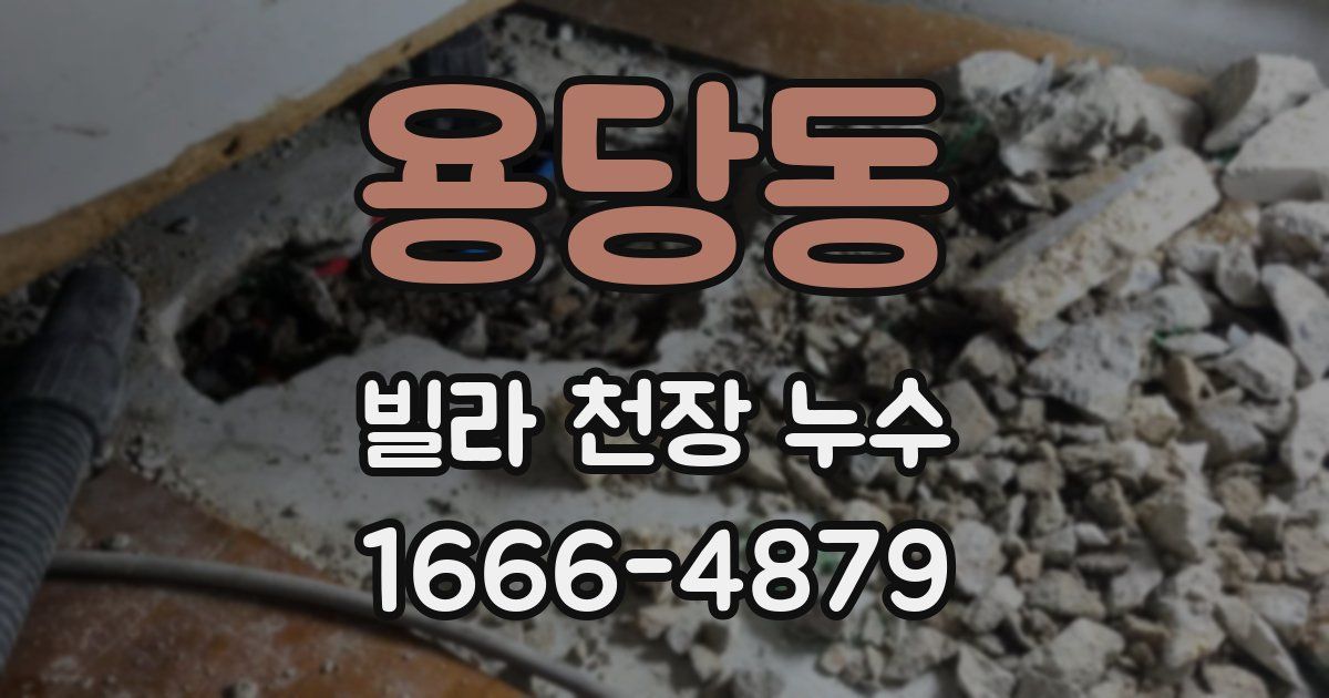 용당동 빌라 천장 누수