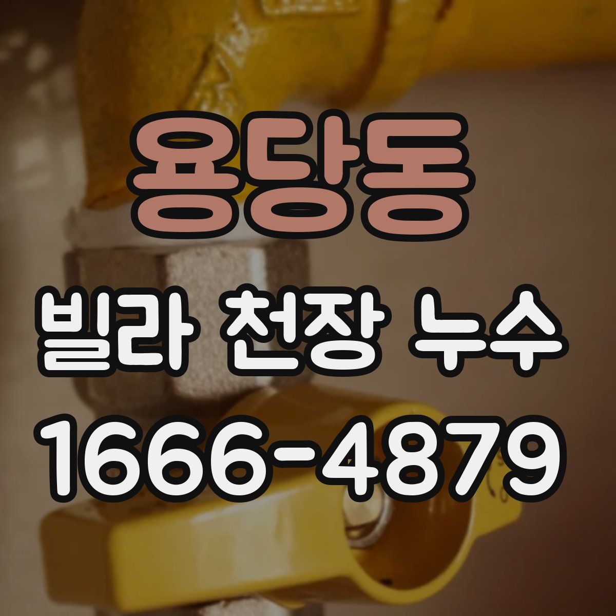 용당동 빌라 천장 누수