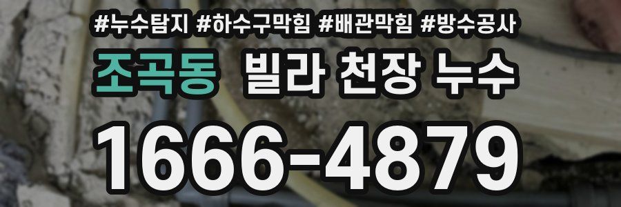 조곡동 빌라 천장 누수