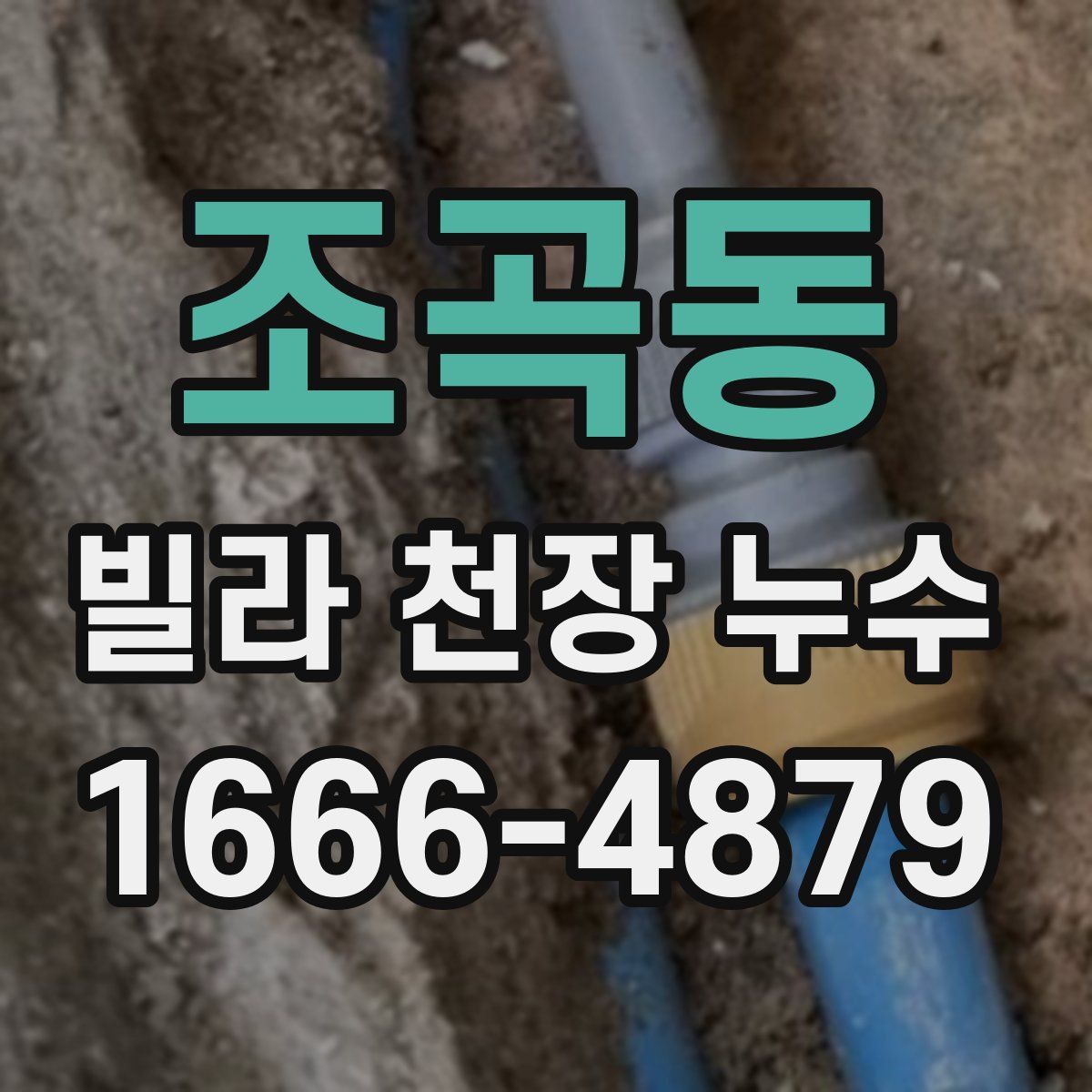 조곡동 빌라 천장 누수