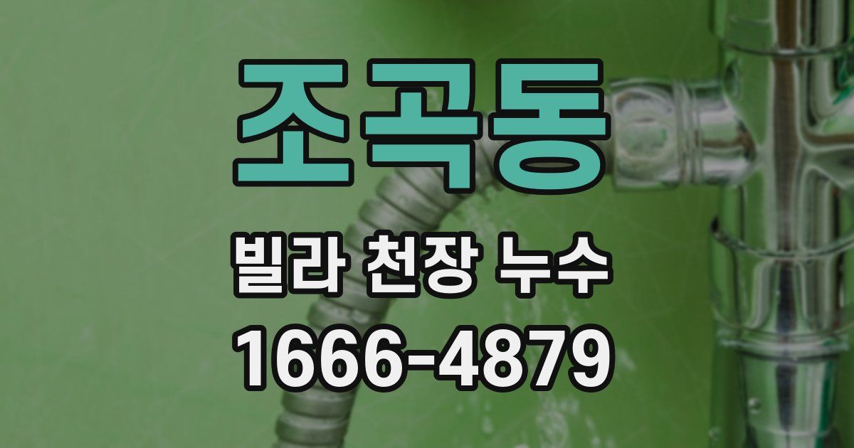 조곡동 빌라 천장 누수