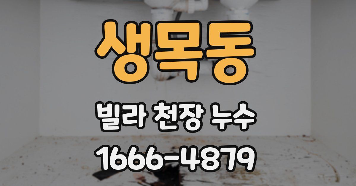생목동 빌라 천장 누수