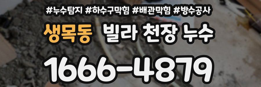 생목동 빌라 천장 누수