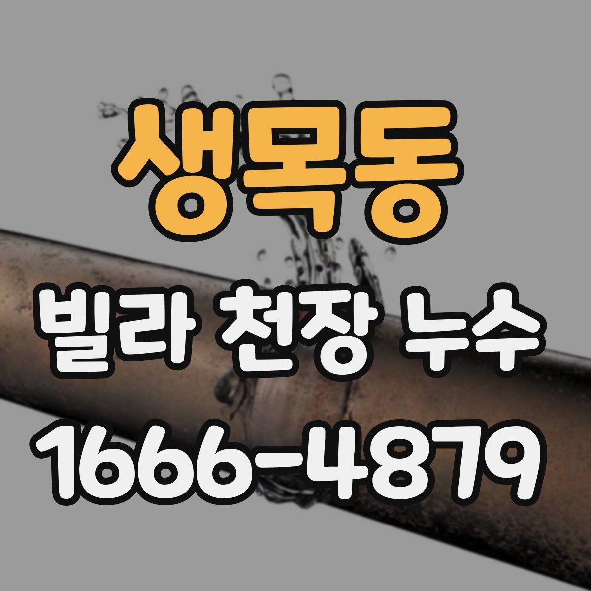 생목동 빌라 천장 누수