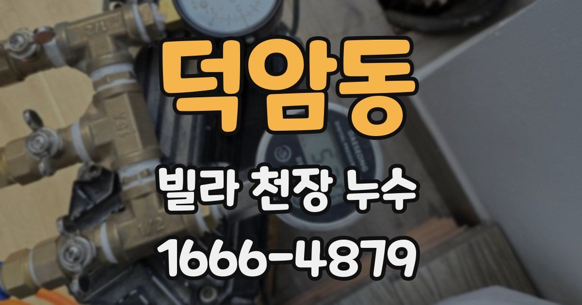 덕암동 빌라 천장 누수