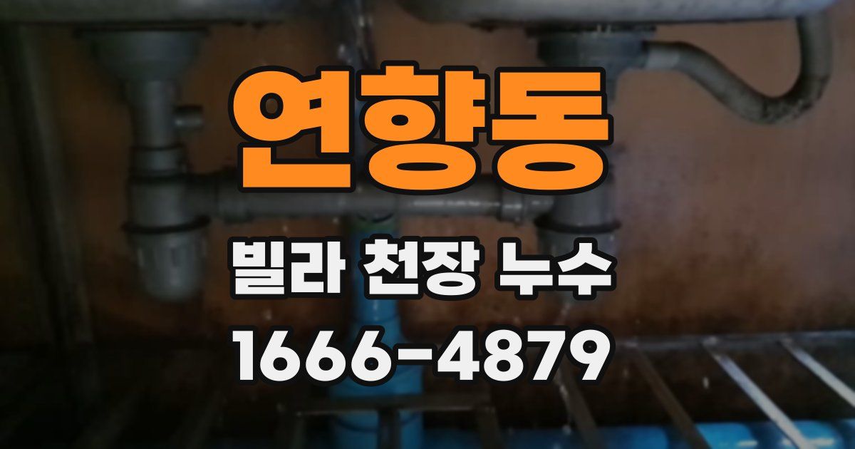 연향동 빌라 천장 누수
