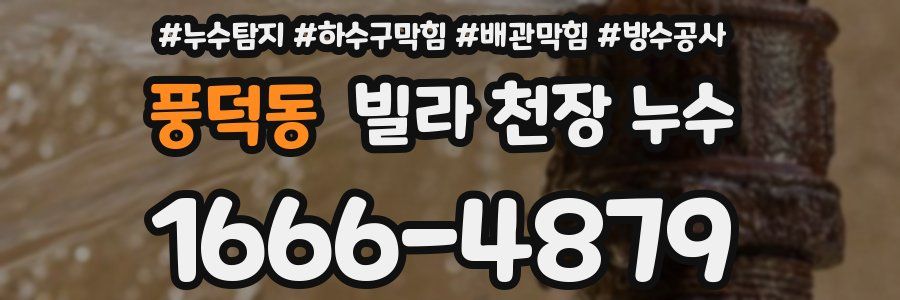 풍덕동 빌라 천장 누수