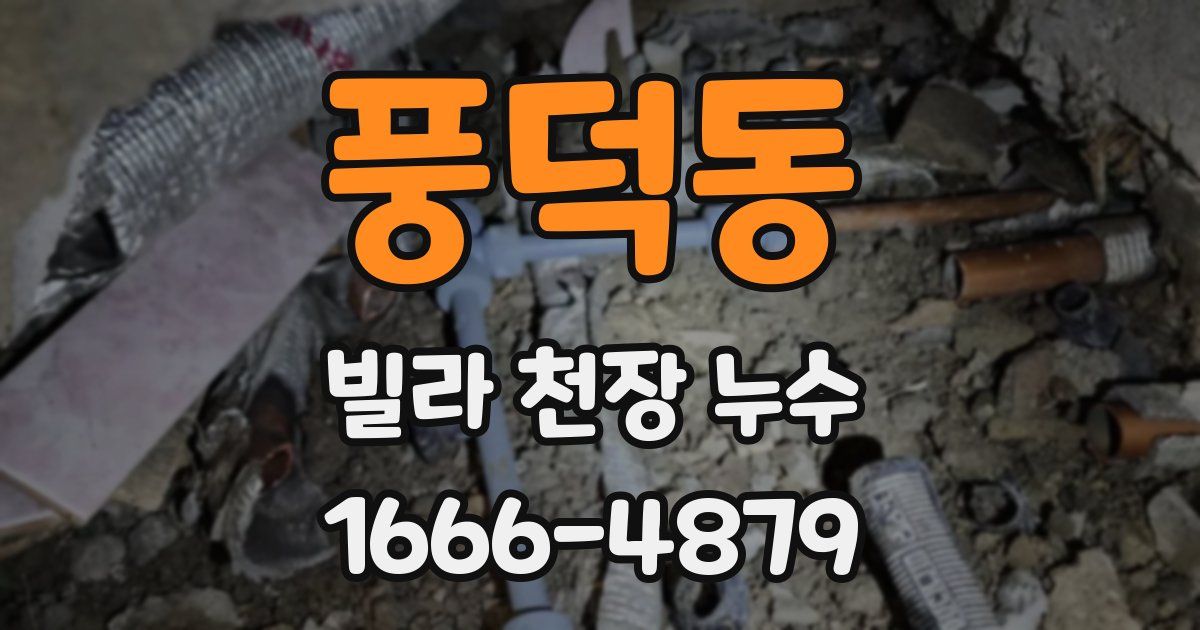 풍덕동 빌라 천장 누수