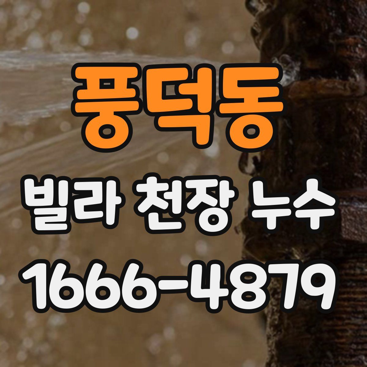 풍덕동 빌라 천장 누수