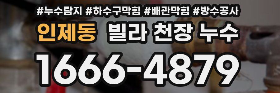 인제동 빌라 천장 누수