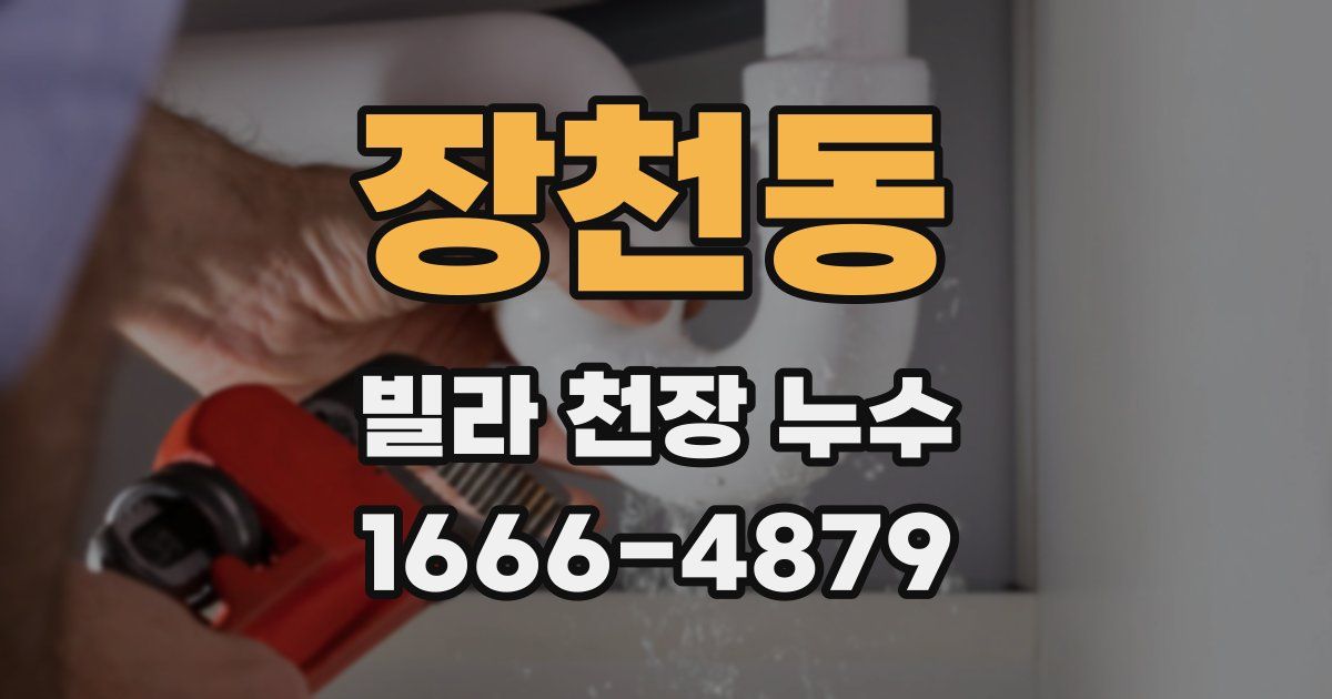 장천동 빌라 천장 누수