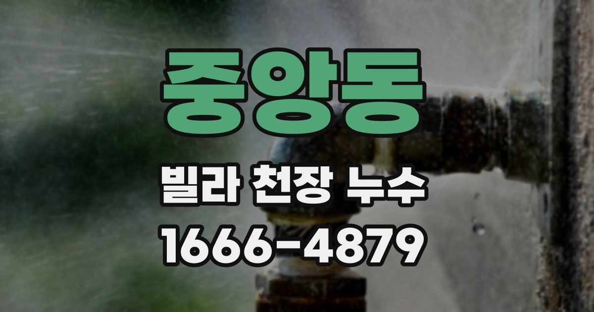 중앙동 빌라 천장 누수