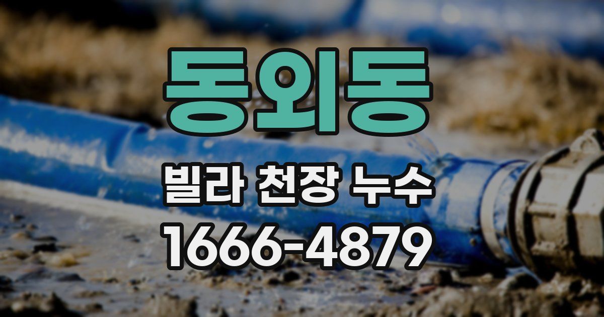 동외동 빌라 천장 누수