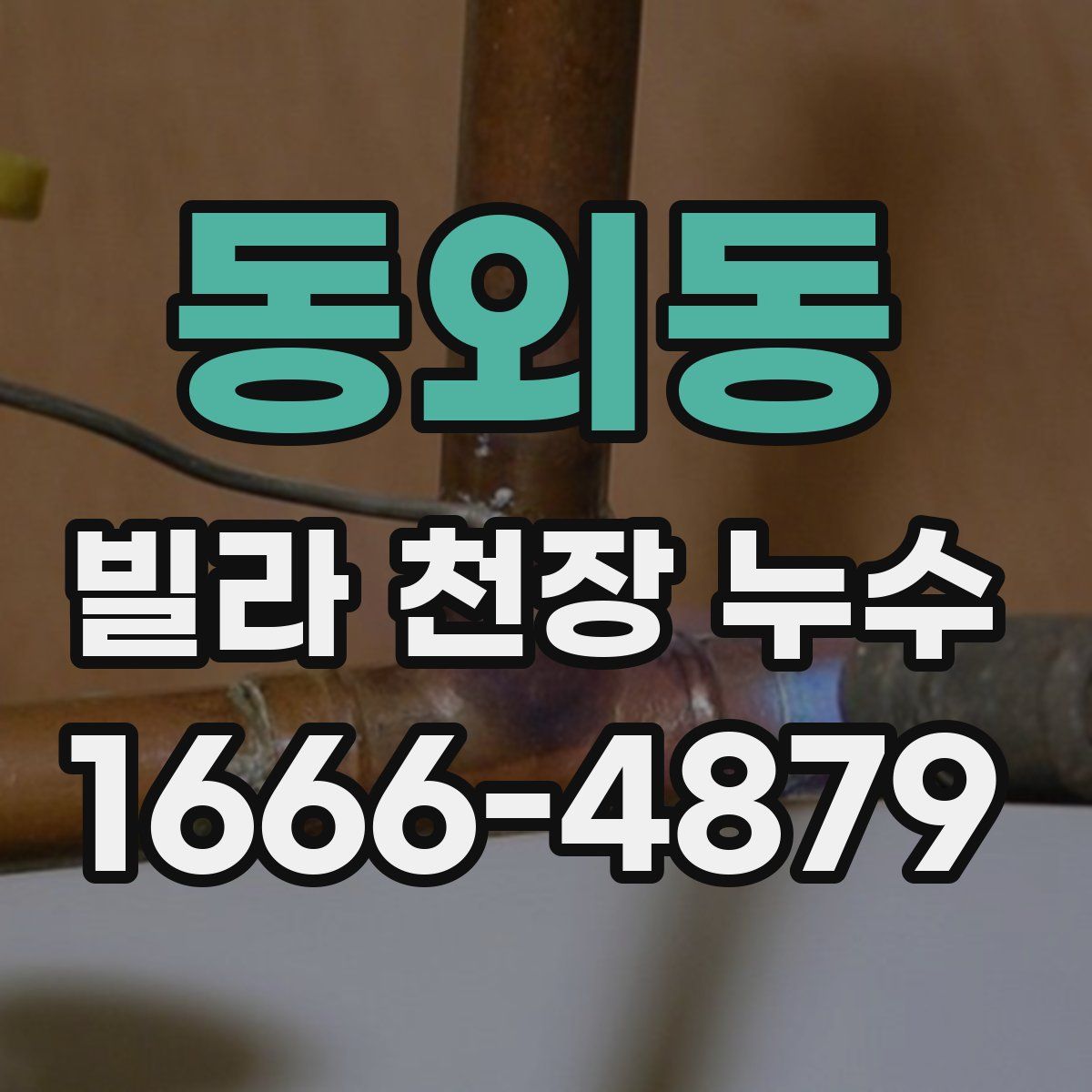 동외동 빌라 천장 누수