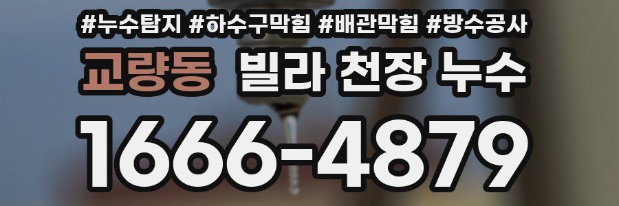 교량동 빌라 천장 누수