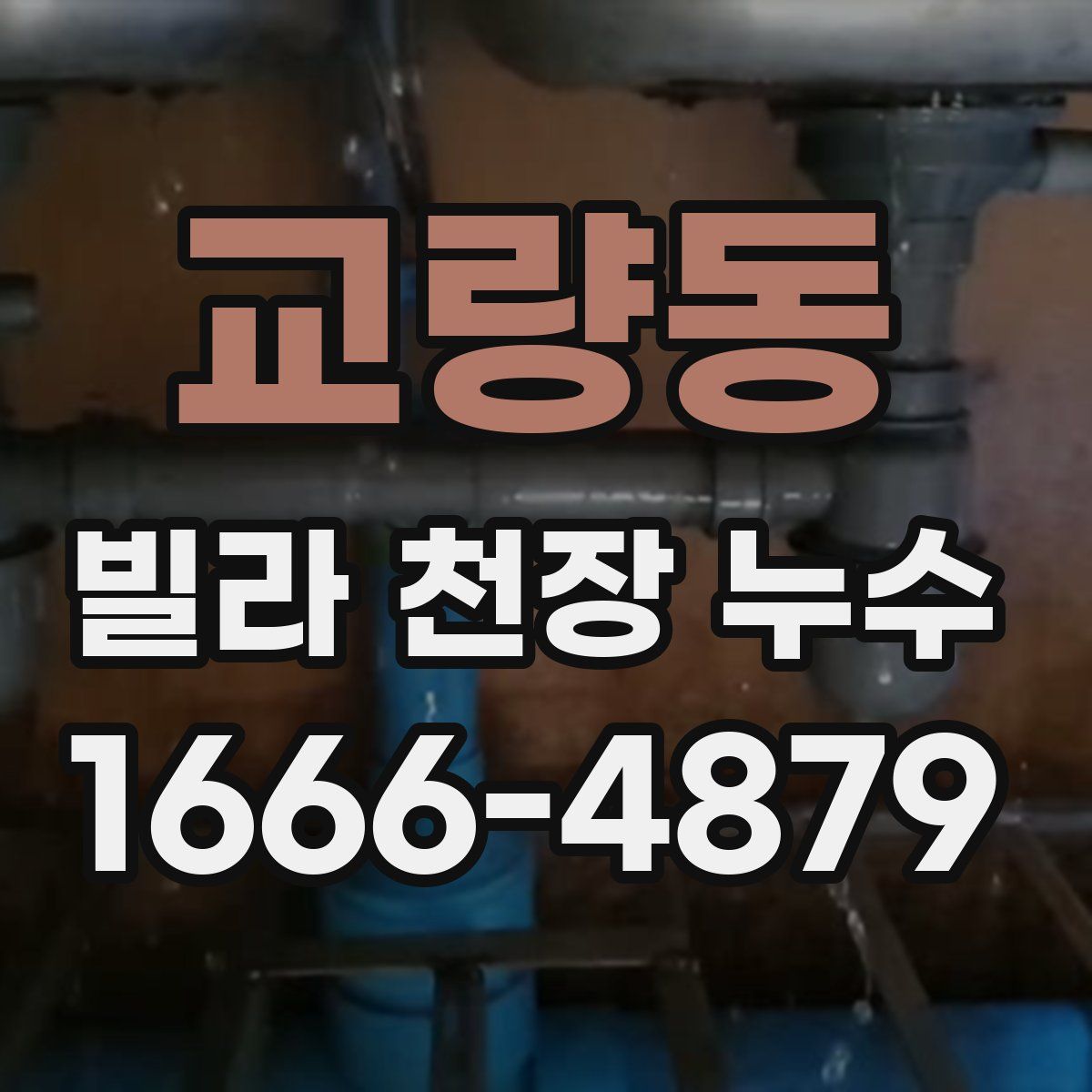 교량동 빌라 천장 누수