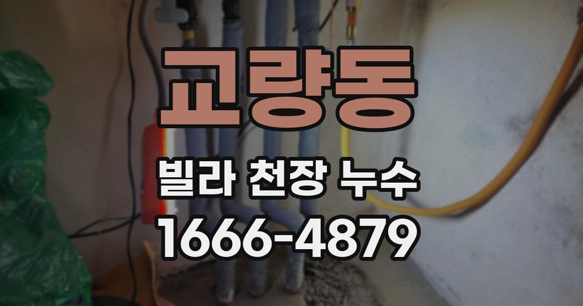 교량동 빌라 천장 누수