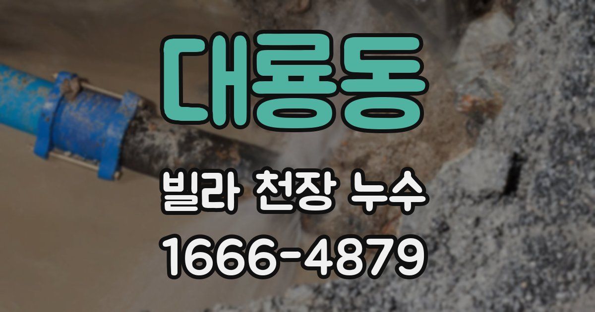 대룡동 빌라 천장 누수