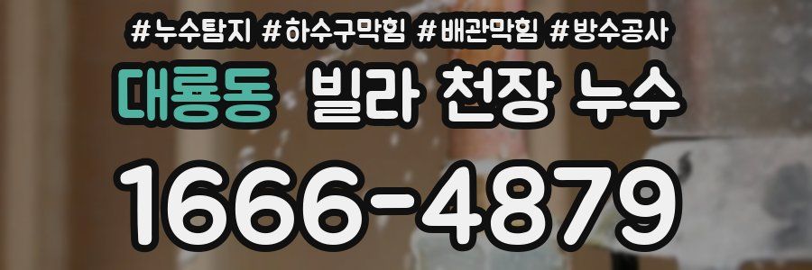 대룡동 빌라 천장 누수