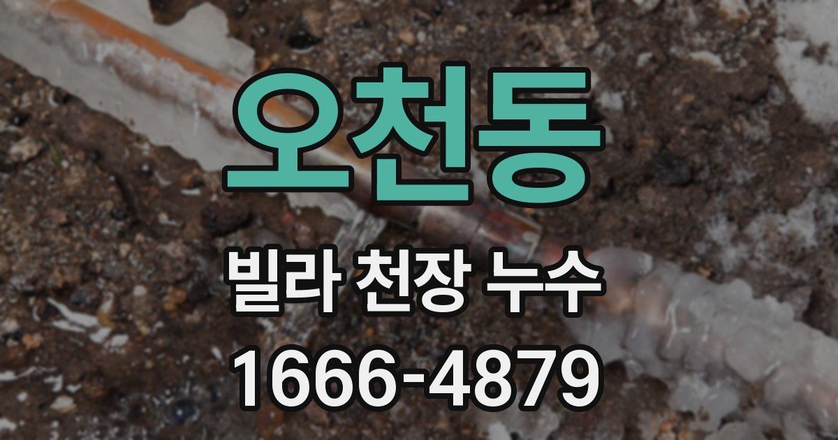 오천동 빌라 천장 누수