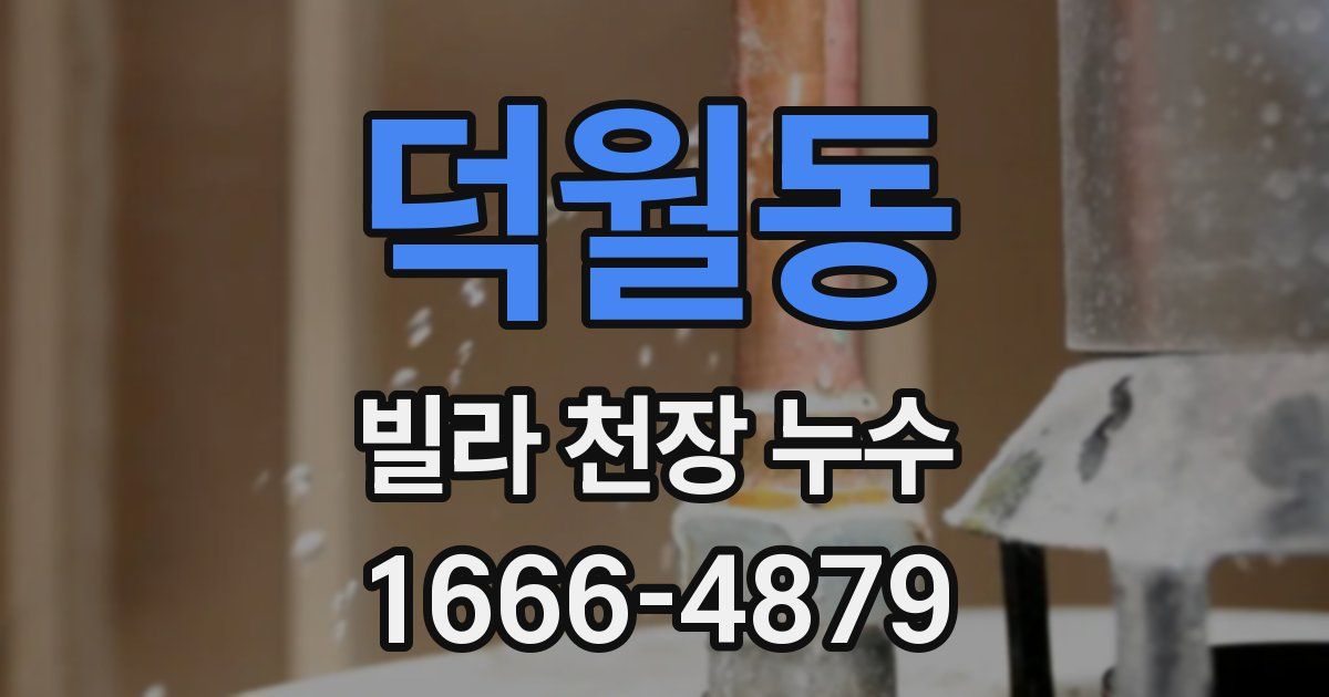 덕월동 빌라 천장 누수
