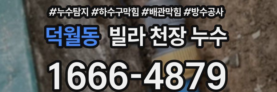 덕월동 빌라 천장 누수