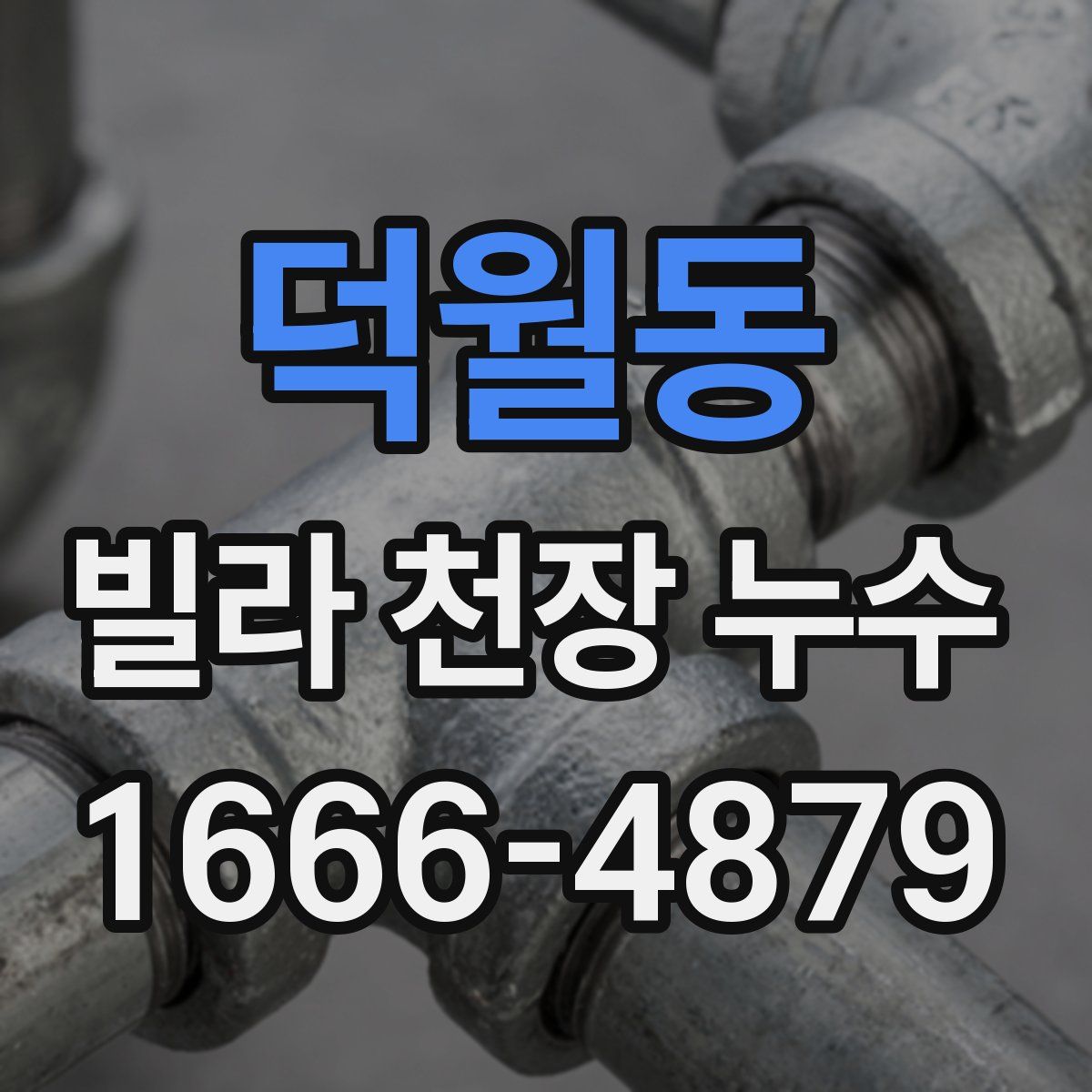 덕월동 빌라 천장 누수