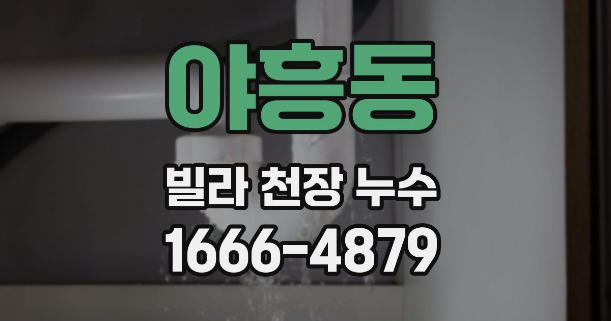 야흥동 빌라 천장 누수