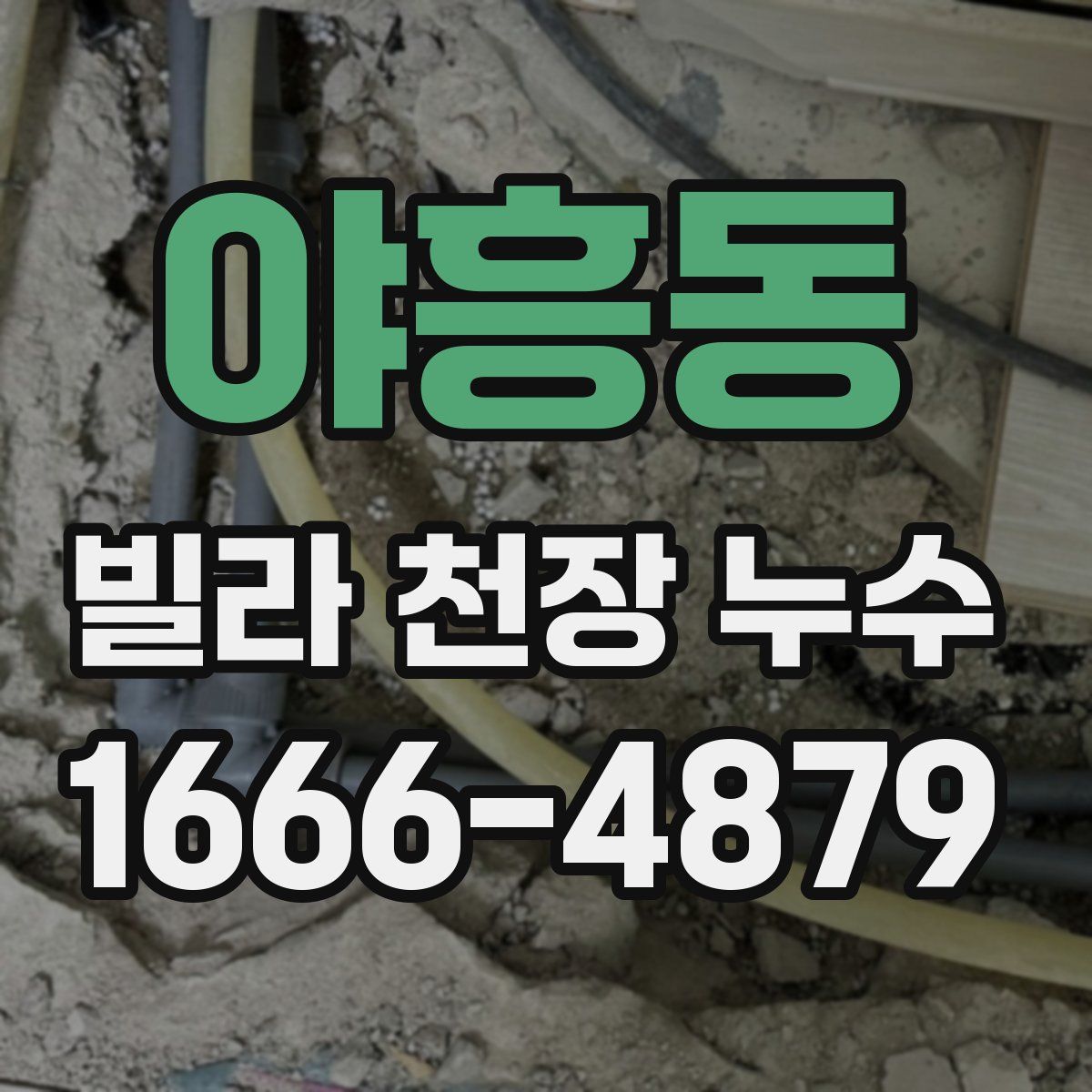 야흥동 빌라 천장 누수