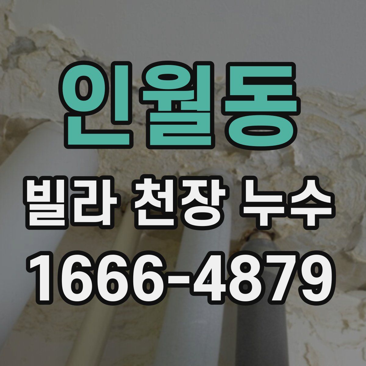 인월동 빌라 천장 누수