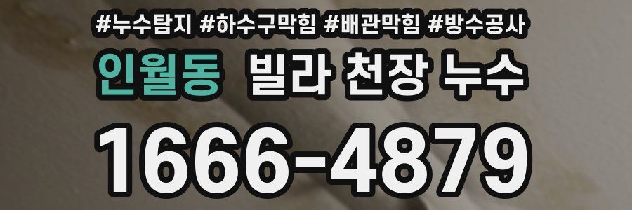 인월동 빌라 천장 누수
