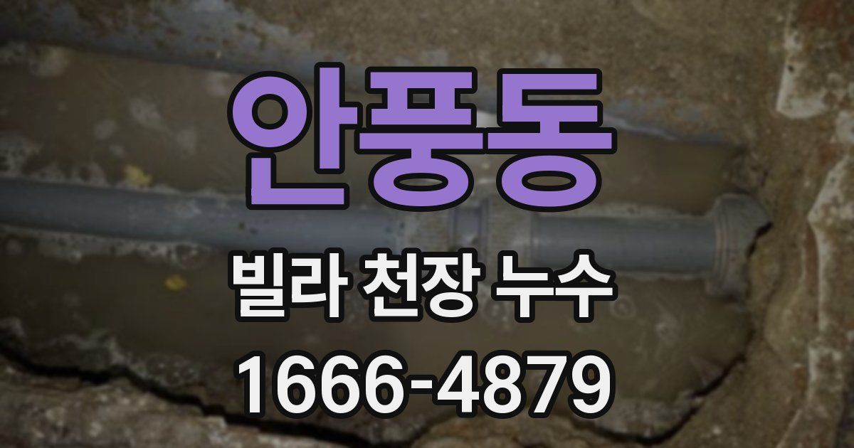 안풍동 빌라 천장 누수