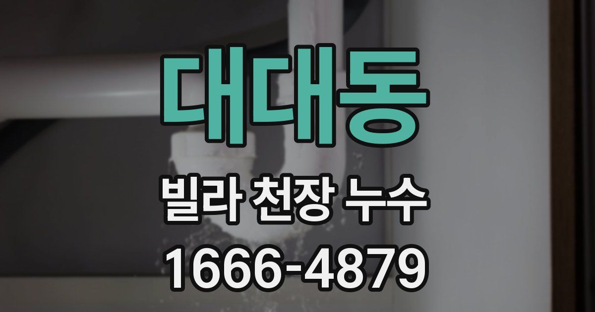 대대동 빌라 천장 누수