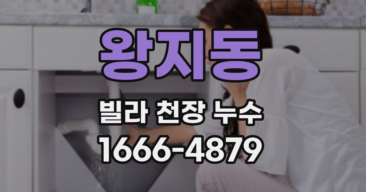 왕지동 빌라 천장 누수