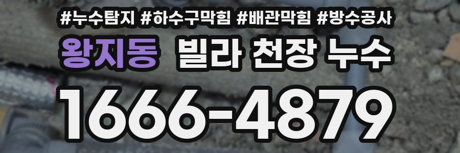 왕지동 빌라 천장 누수