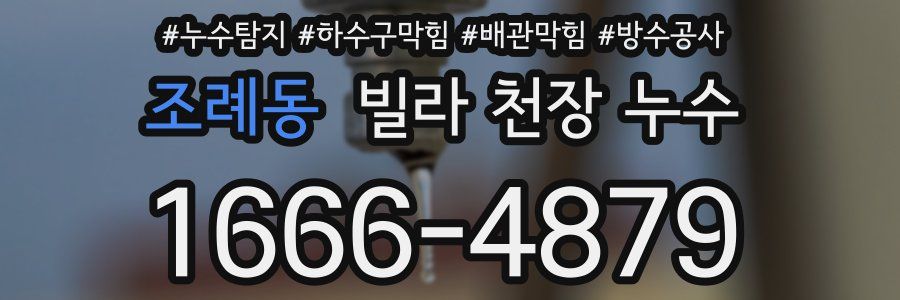 조례동 빌라 천장 누수