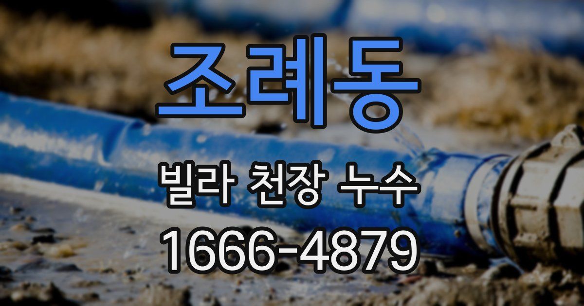 조례동 빌라 천장 누수
