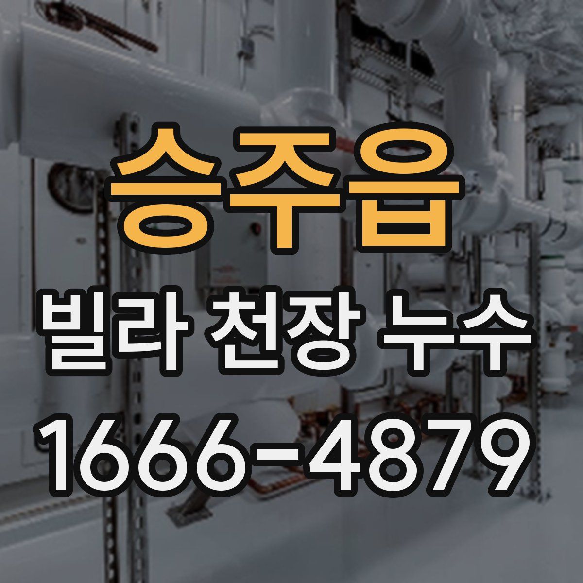 승주읍 빌라 천장 누수