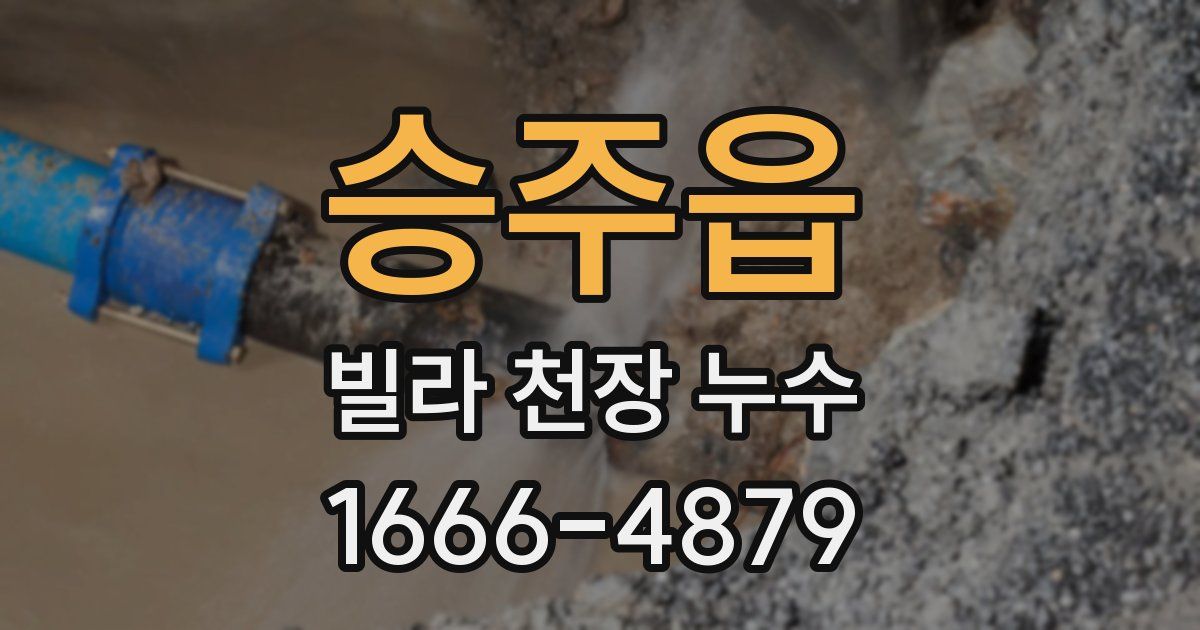 승주읍 빌라 천장 누수