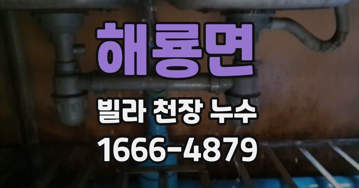 해룡면 빌라 천장 누수