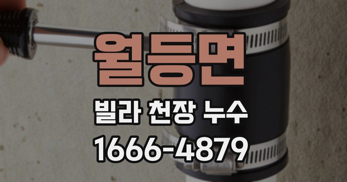 월등면 빌라 천장 누수