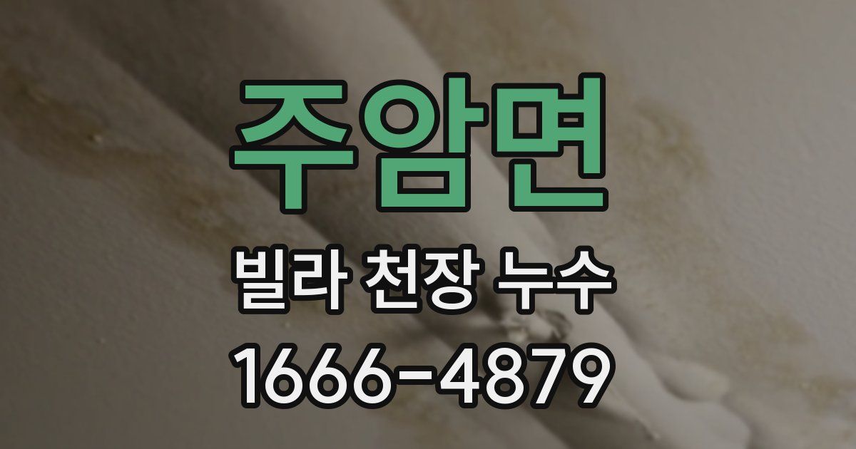 주암면 빌라 천장 누수