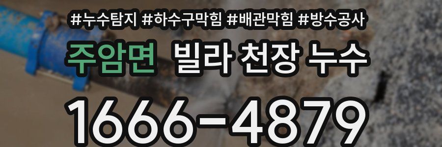 주암면 빌라 천장 누수