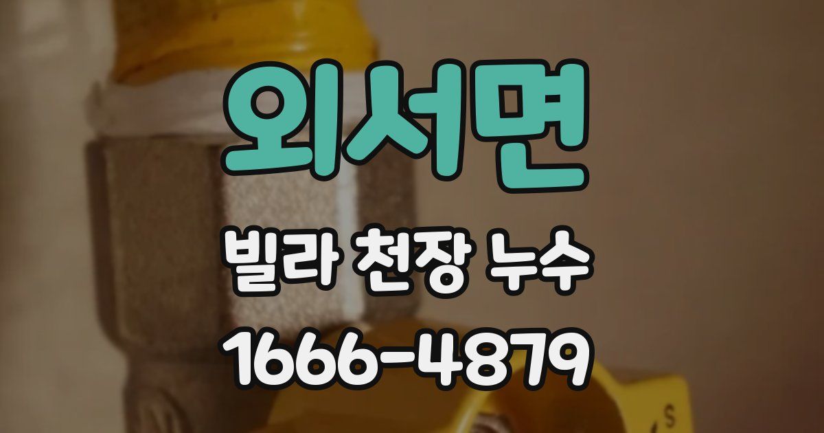 외서면 빌라 천장 누수