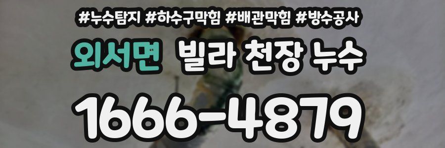 외서면 빌라 천장 누수