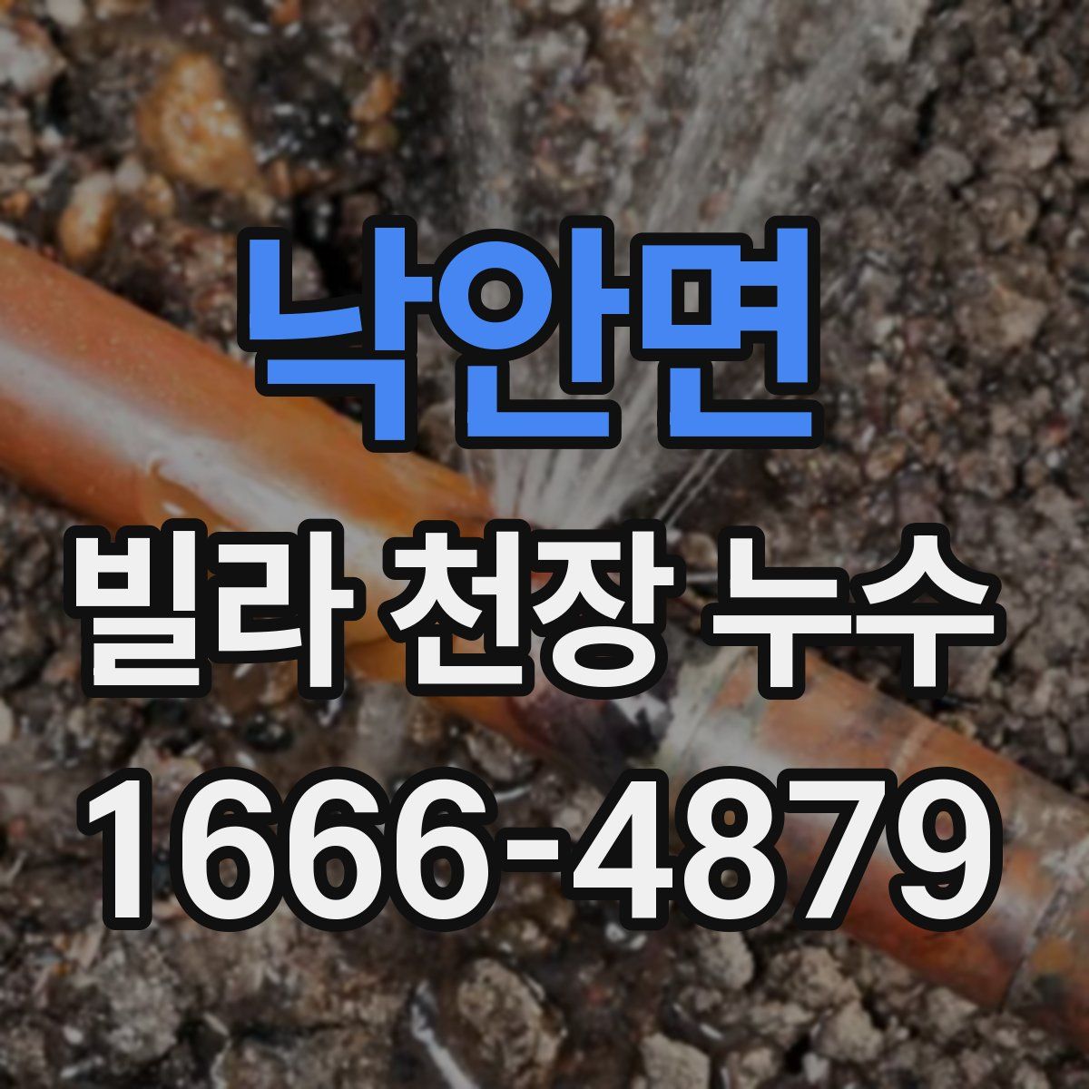 낙안면 빌라 천장 누수