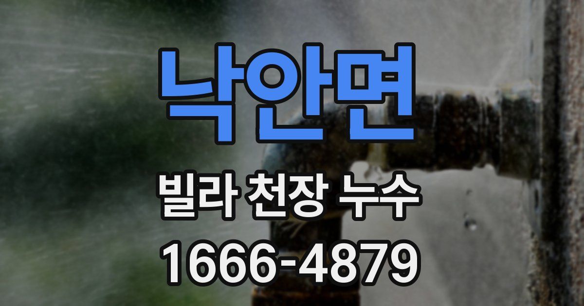 낙안면 빌라 천장 누수